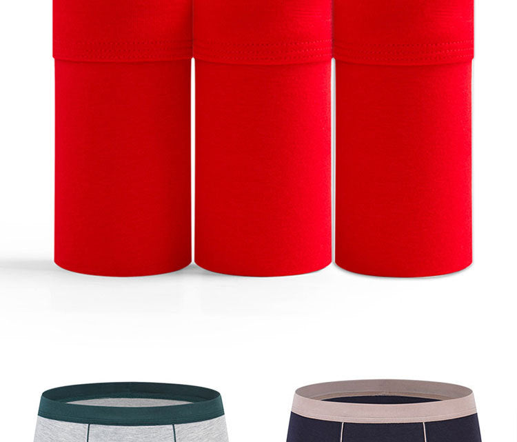 Men's IBG cotton boxer briefs in plus size, featuring breathable fabric and comfortable fit, essential men's underwear.