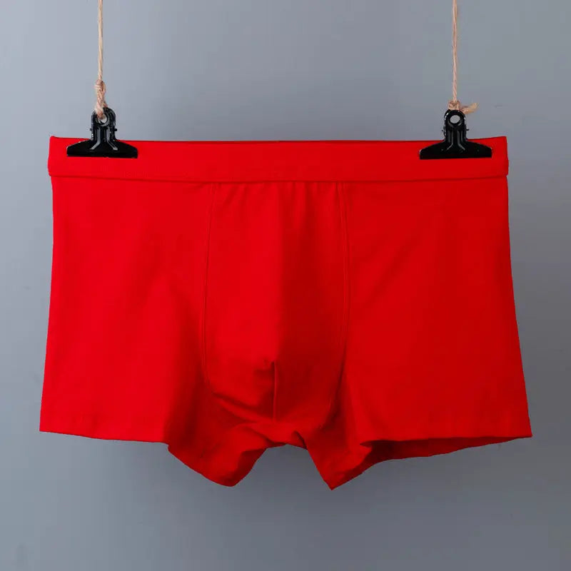 IBG men's cotton boxer briefs, breathable plus size underwear with comfortable fit, essential men's underwear in natural fabric.
